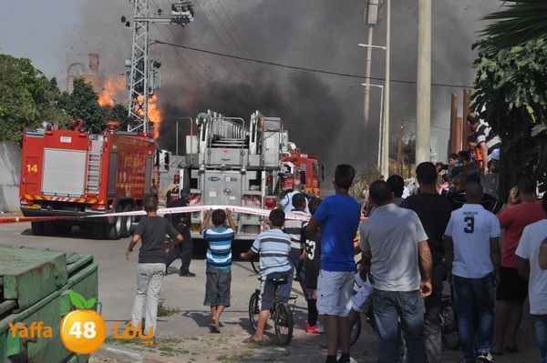 fireludkartoonmasna34 (46).JPG